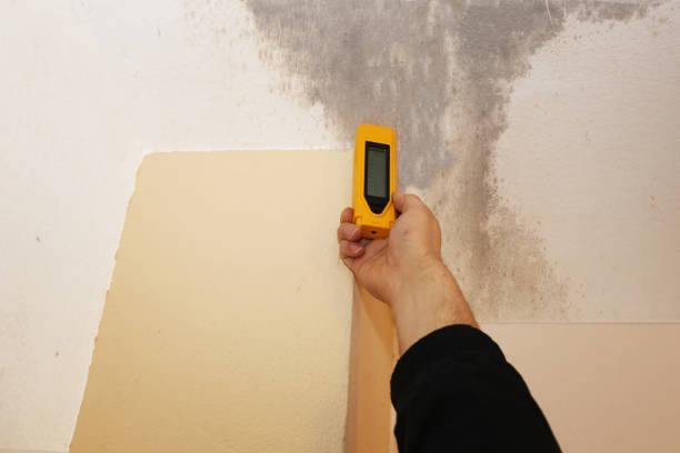 Dehumidification Services in Georgiana, AL