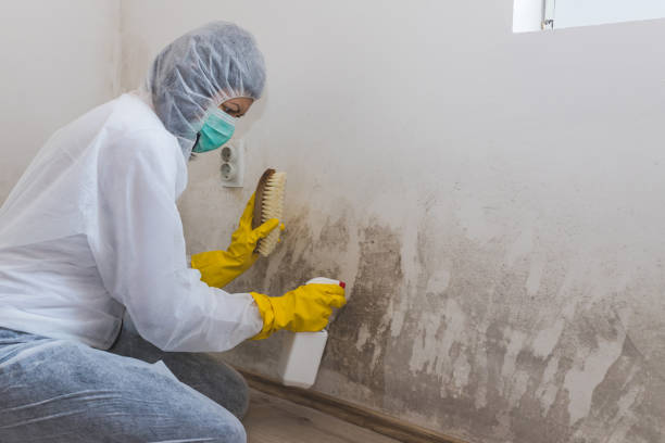 Best Attic Mold Removal  in Georgiana, AL