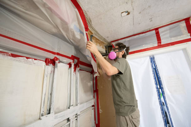 Best Indoor Air Quality Assessment  in Georgiana, AL