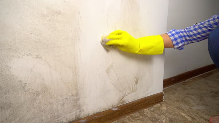 Best Real Estate Mold Inspection  in Georgiana, AL